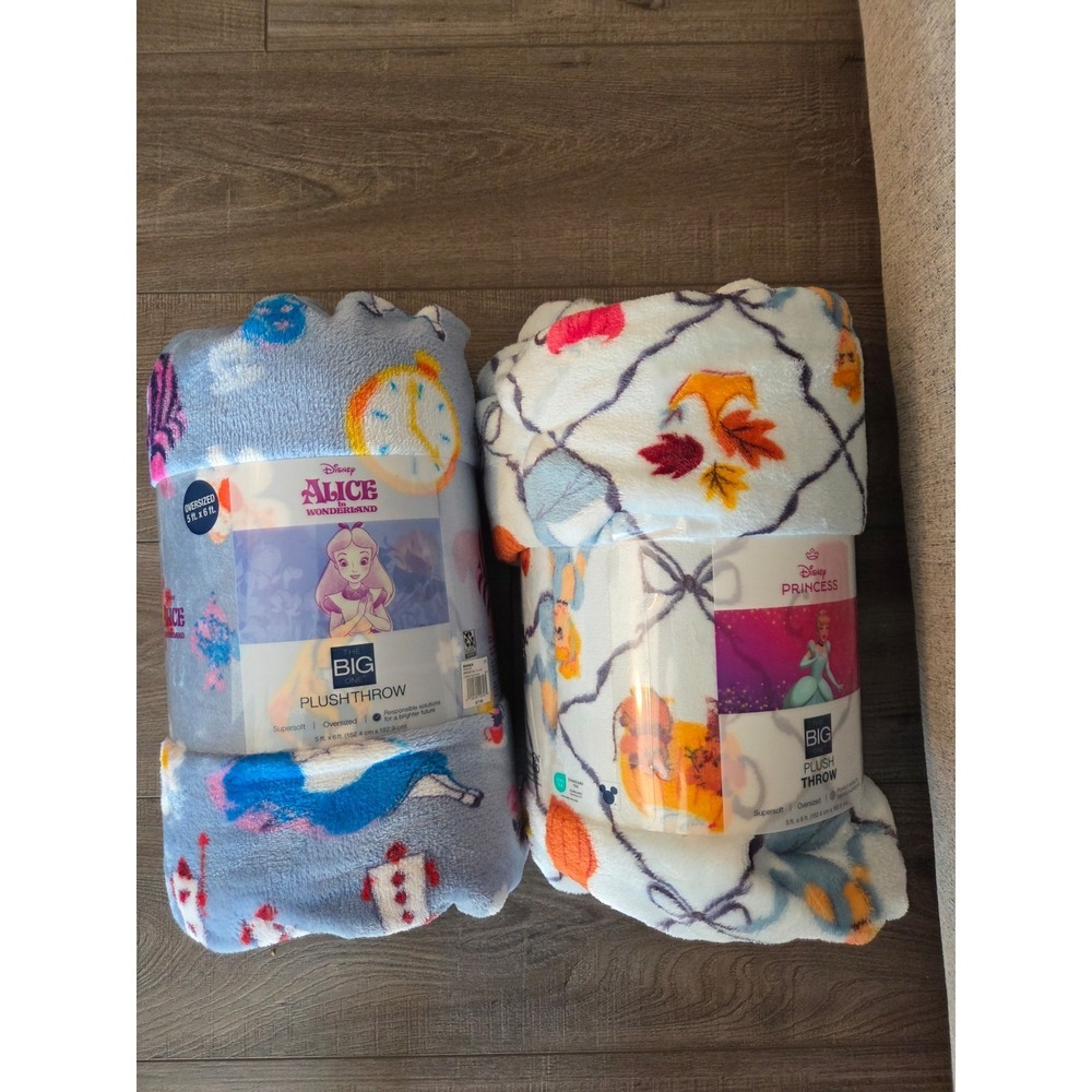 The Big One Disney character blankets lot